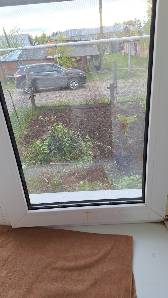 Вот такой не большой палисадник. Есть ещё большой огородище у леса, и с другой стороны дома, но там уже давно ничего не сажаем