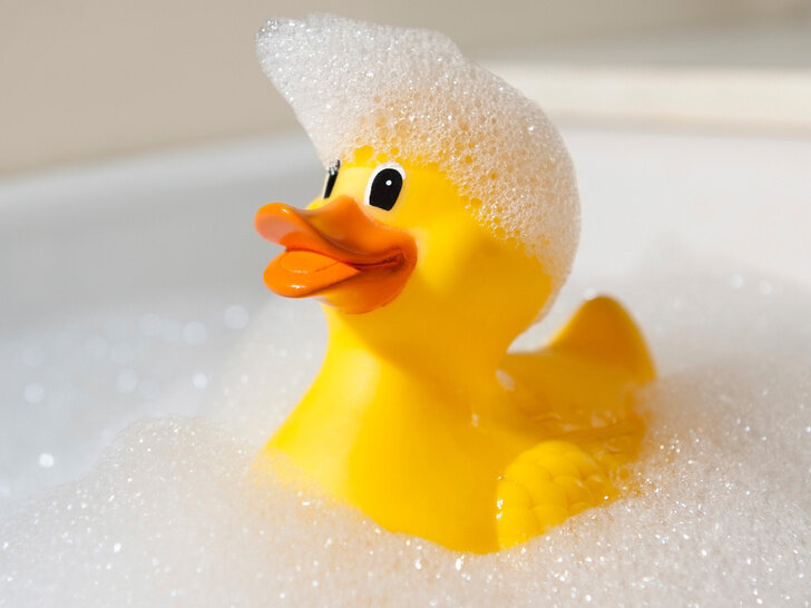 Фотография взята из интернета