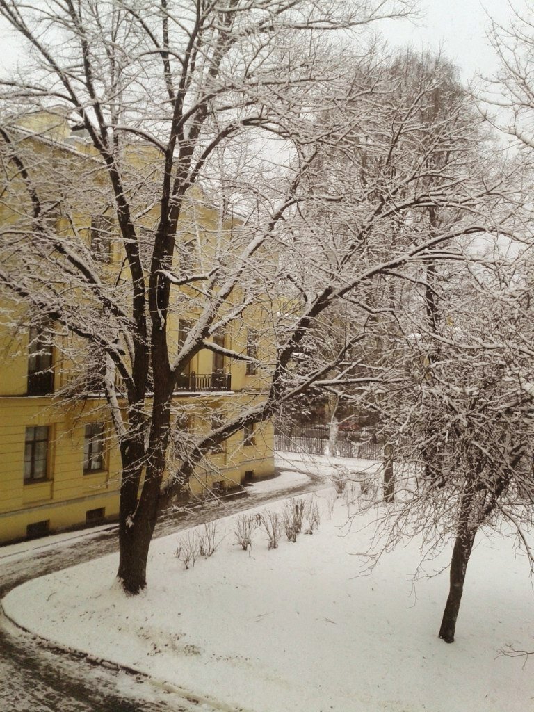 Вид из окна Дородового отделения института Отта