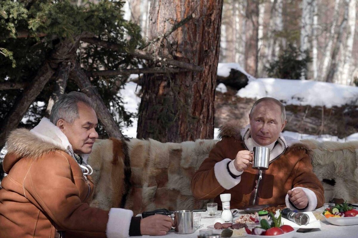 В тайге