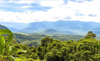 Изображение создано с помощью нейросети