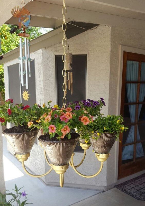 И вот вам замечательная подвесная клумба! Длину цепочки можно подбирать под нужную высоту.