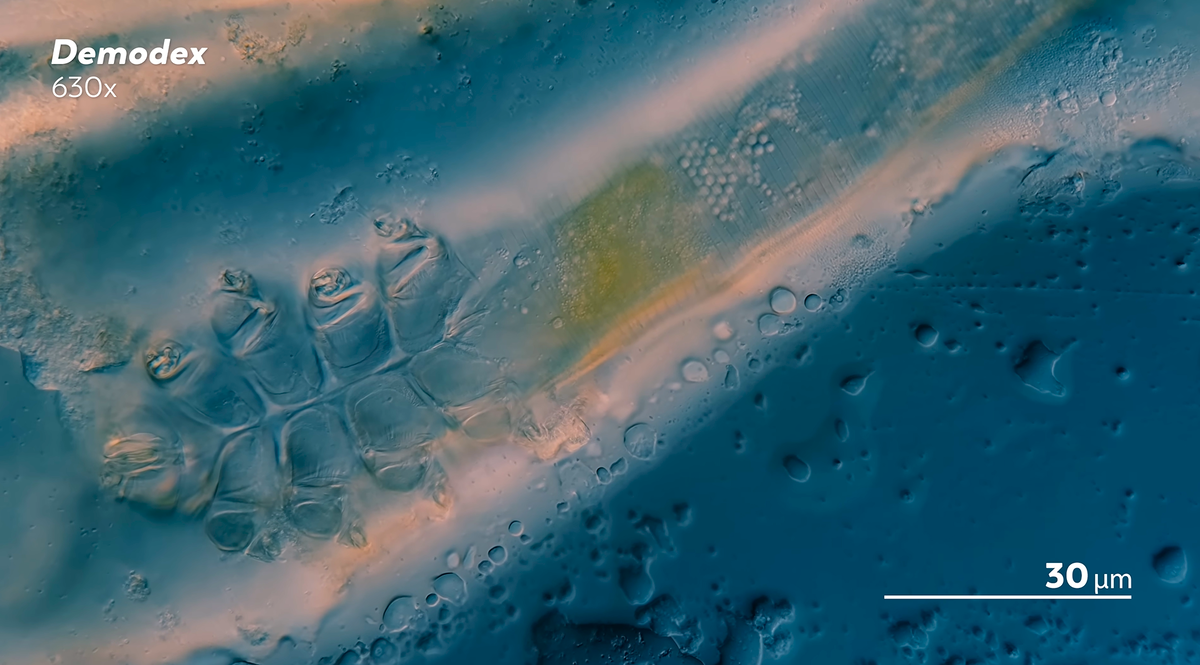 Угревая железница. Кадр из видео Джеймса Вайса.