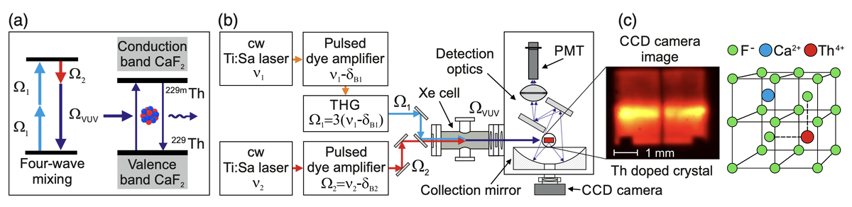   J. Tiedau et al. / Physical Review Letter, 2024