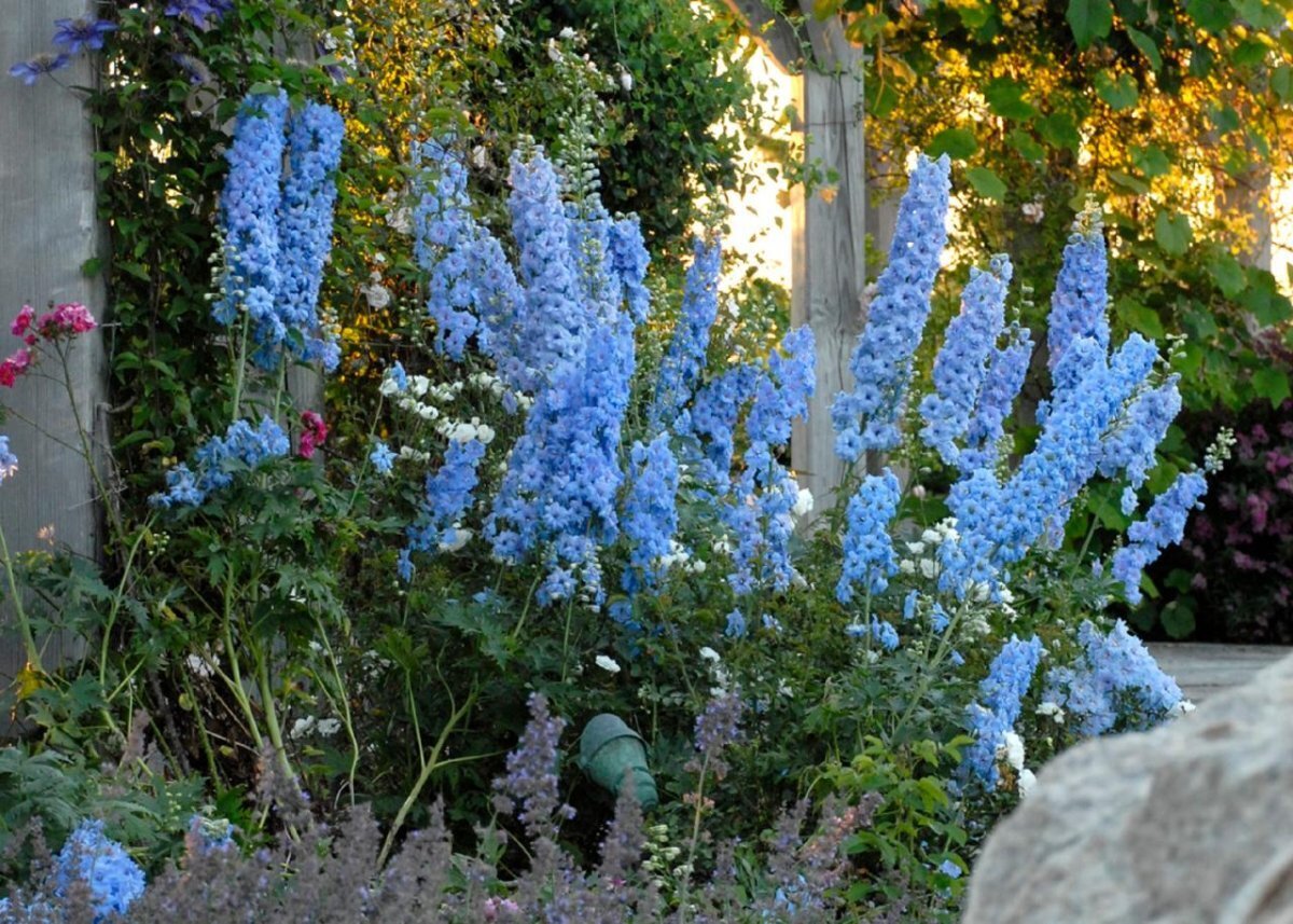 Фото из открытых источников.