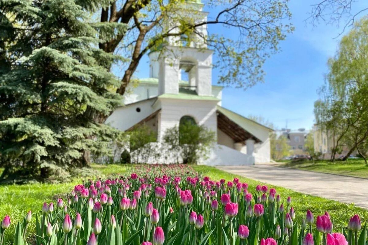    В Пскове высадят более 140 тысяч летних растений