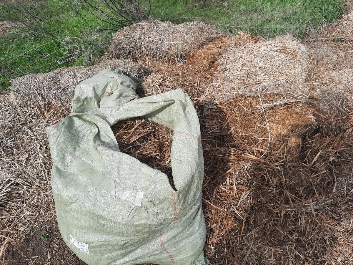 Наши подписчики готовы к сезону.