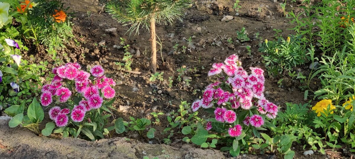 Фото лета 2023г.