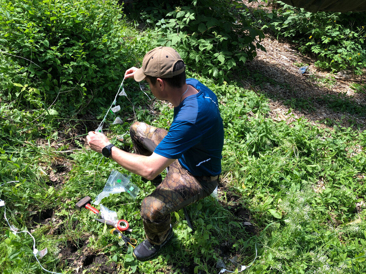 Начало эксперимента: чайные пакетики закапывают в почву. Источник: Кристина Иващенко