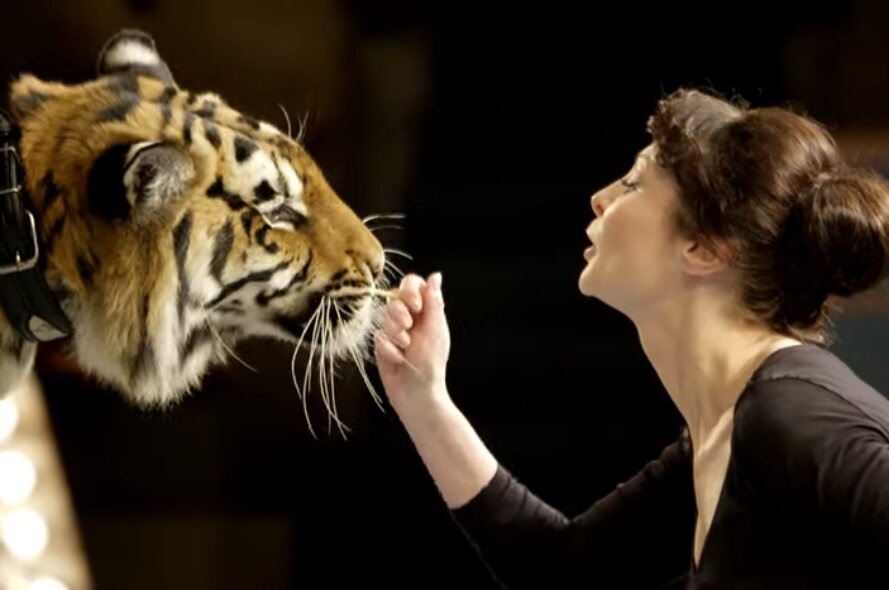 Кадр из трейлера