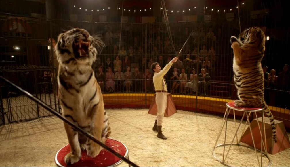 Кадр из трейлера