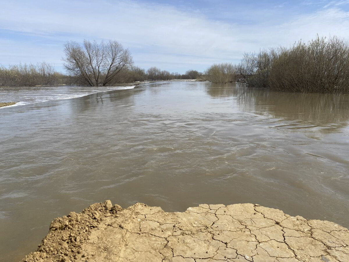 По прогнозам специалистов, интенсивность роста уровня воды в ближайшее время снизится до 5 –10 сантиметров в сутки.  Фото: ФедералПресс / Наталья Шалыгина