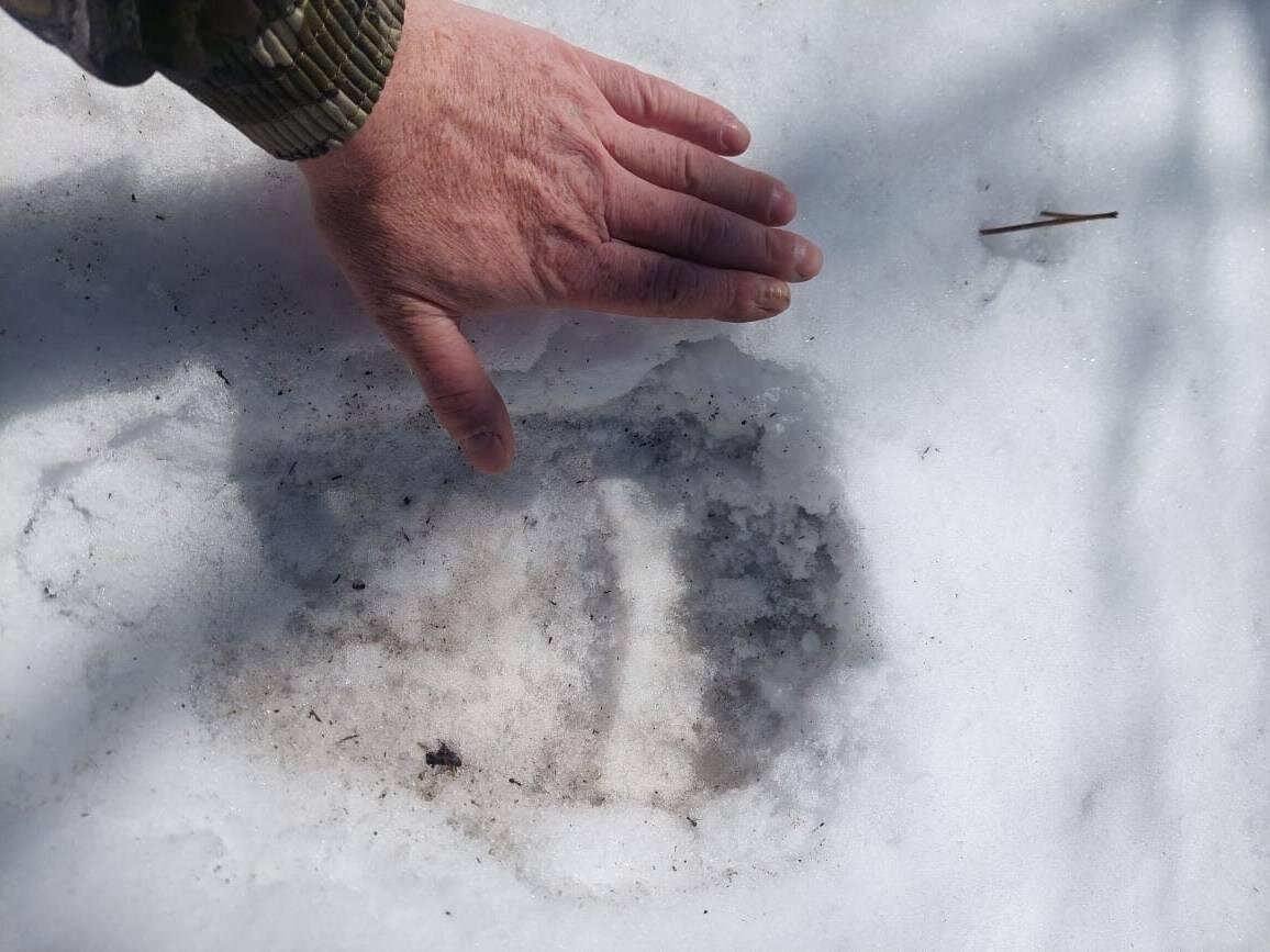    © Р.Т. Нарумов