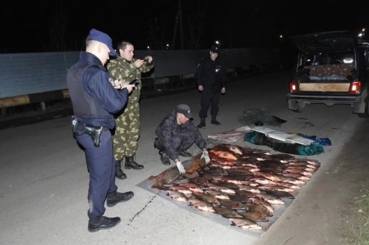   Тульская транспортная полиция задержала браконьера на Оке