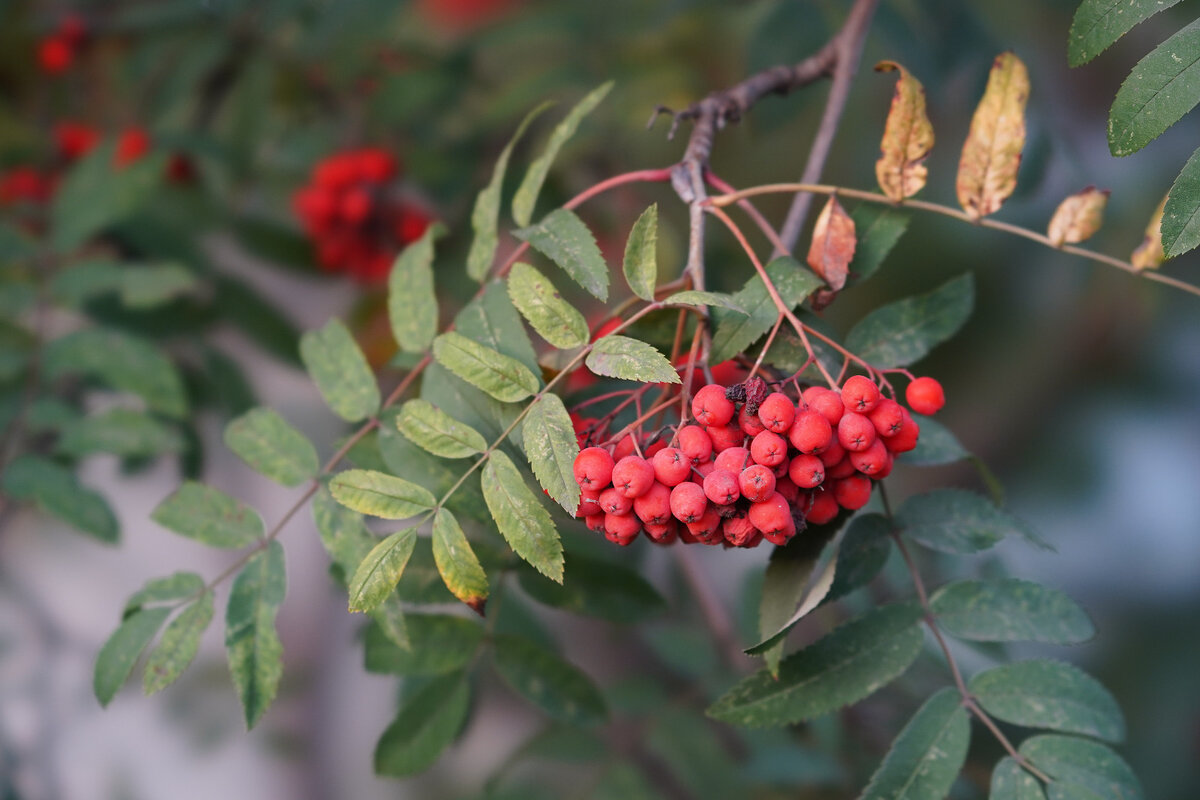 Фото: Александр Панов