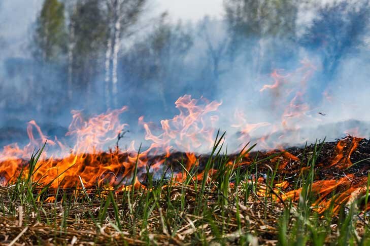    Фото Андрея Заржецкого.