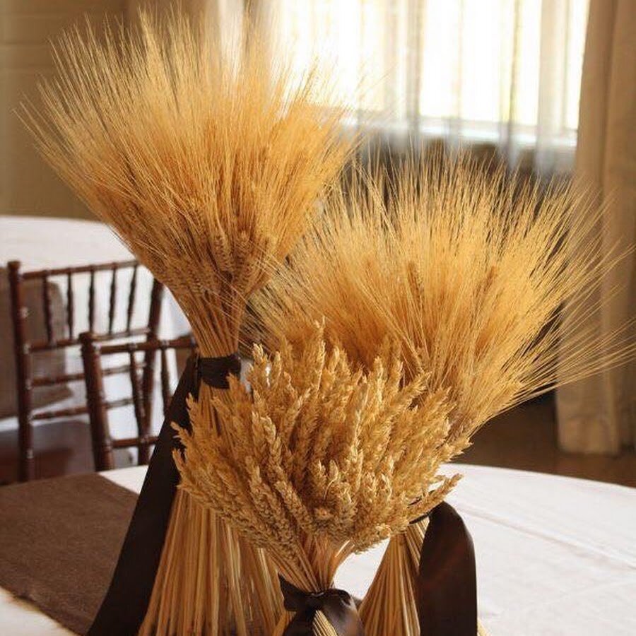 Чтобы избавиться от старого букета, нужно провести ритуал