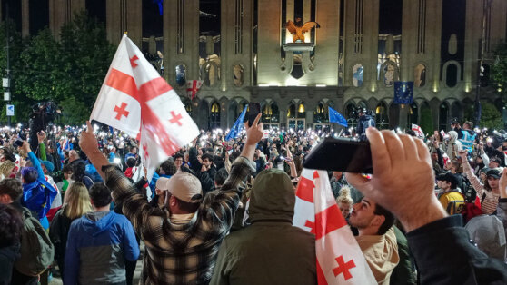    На митинге против закона об иноагентах в Грузии задержали 20 человек, в том числе россиянина Алина Городниченко