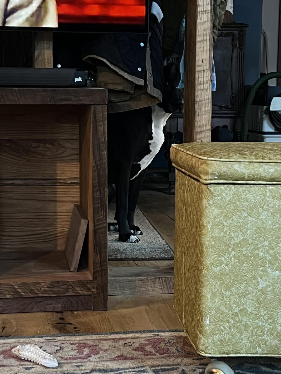    Он пытался быть незаметным.