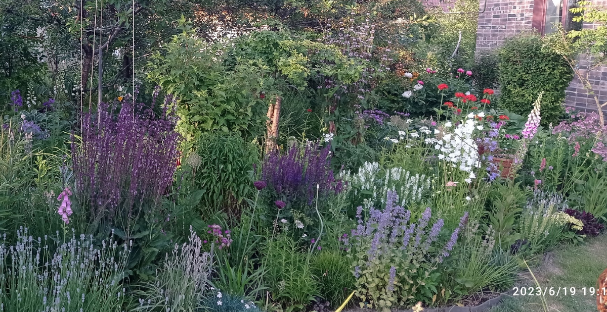 прошлое лето