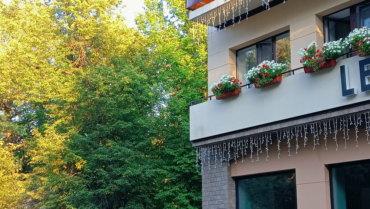 Les&Park, Нижний Новгород // Источник: Яндекс.Картинки