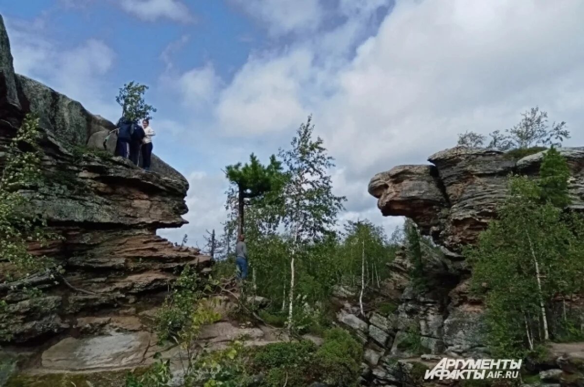    В Пермском крае заметили медведя, который бродит в Каменном городе