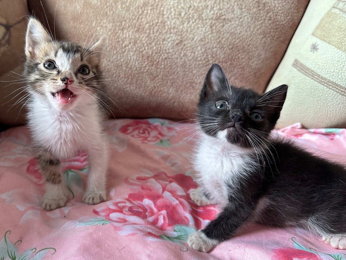 Малыши должны жить в семье. Им нужны заботливые руки