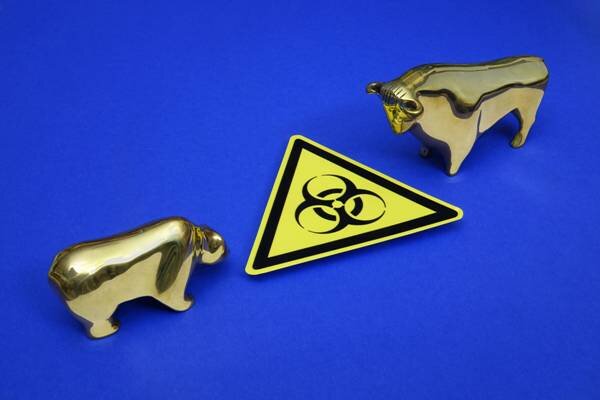 Фото: imago images/Steinach