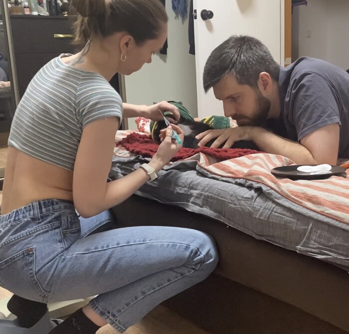 Листайте вправо, чтобы увидеть больше изображений