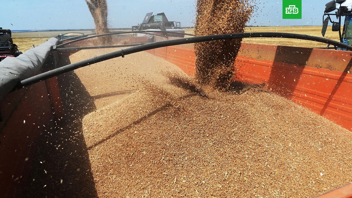    Фото: РИА Новости © 2024, Сергей Пивоваров