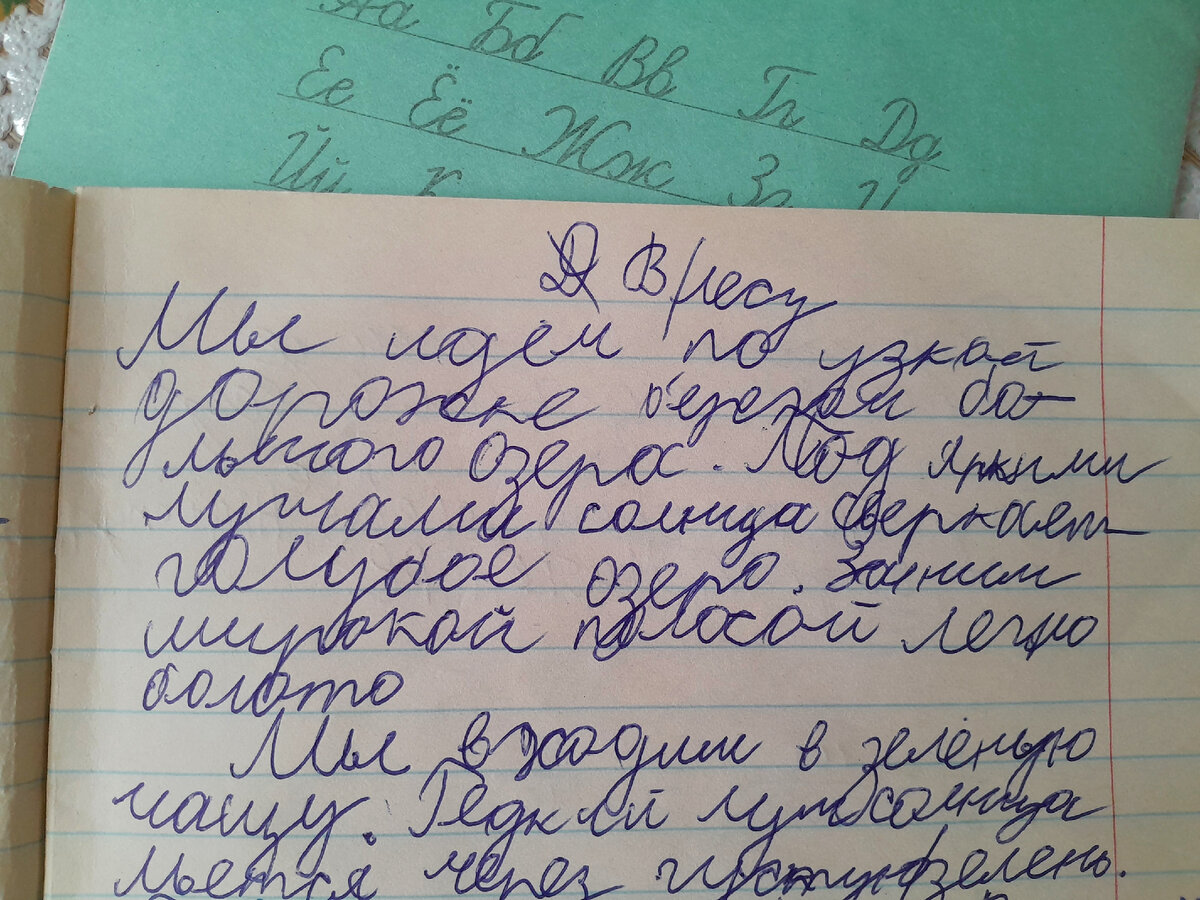 Такого ещё не пробовали: 4 любопытных и небанальных упражнения для  красивого почерка. Кисти рук скажут спасибо | Заметки мамы-училки | Дзен