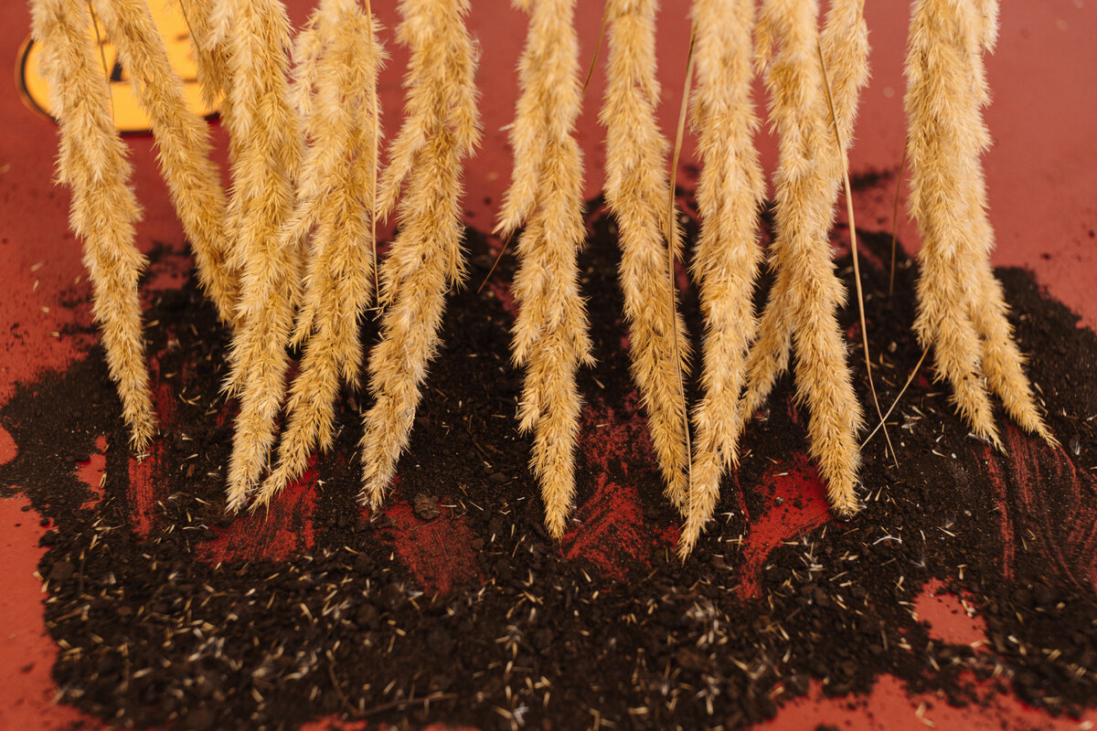    Выставка «Язык мой» откроется в центре современной культуры «Солодовня» (фото 1)