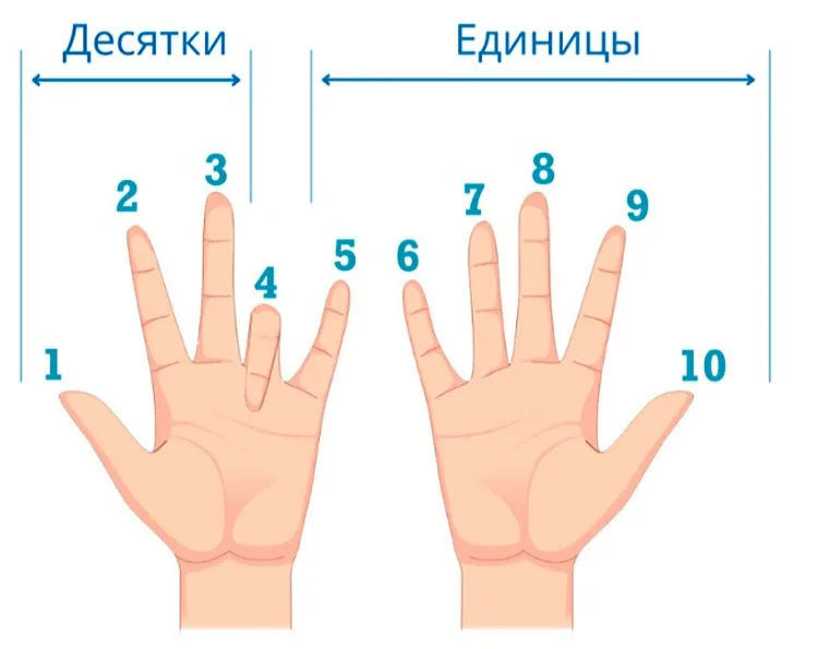 4×9=36 Загибаем на левой руки четвертый палец. Считаем, сколько осталось пальцев на левой руке до загнутого - 3. Это количество десятков. Затем считаем, сколько осталось не загнутых пальцев справа - 6. Это единицы. Получилось 36.