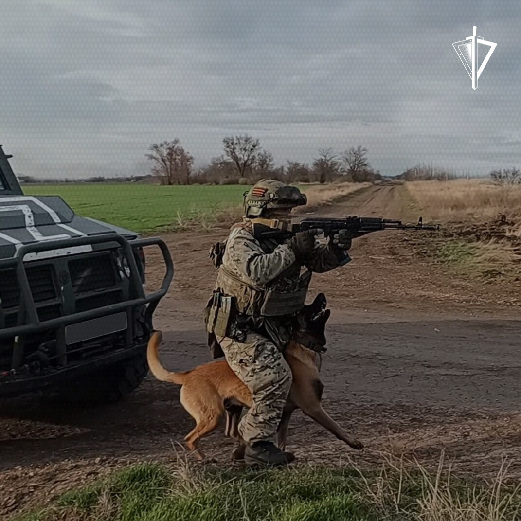 В зоне проведения СВО кинологи Росгвардии продолжают совершенствовать  выучку служебных собак | Росгвардия | Дзен