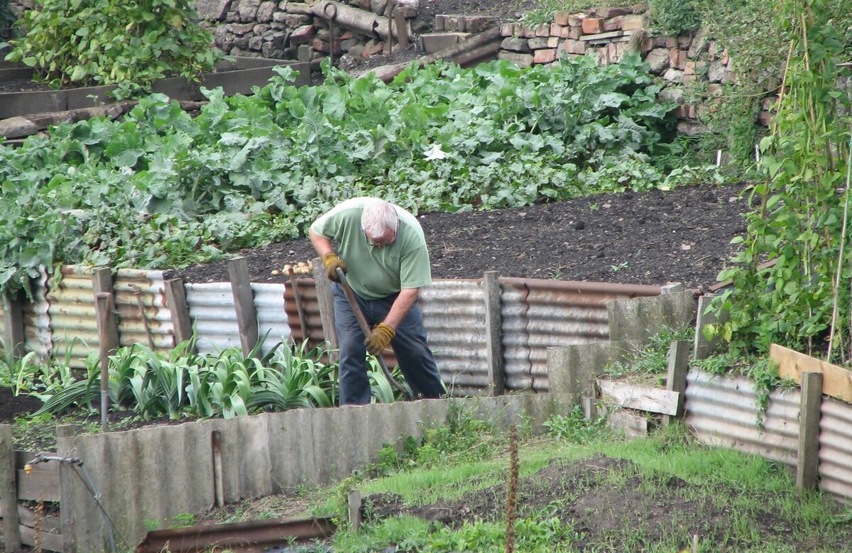 Дачники готовят участки к новому садово-огородному сезону.  Фото: Фото: pxhere.com