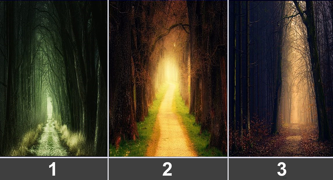 Выберите один путь