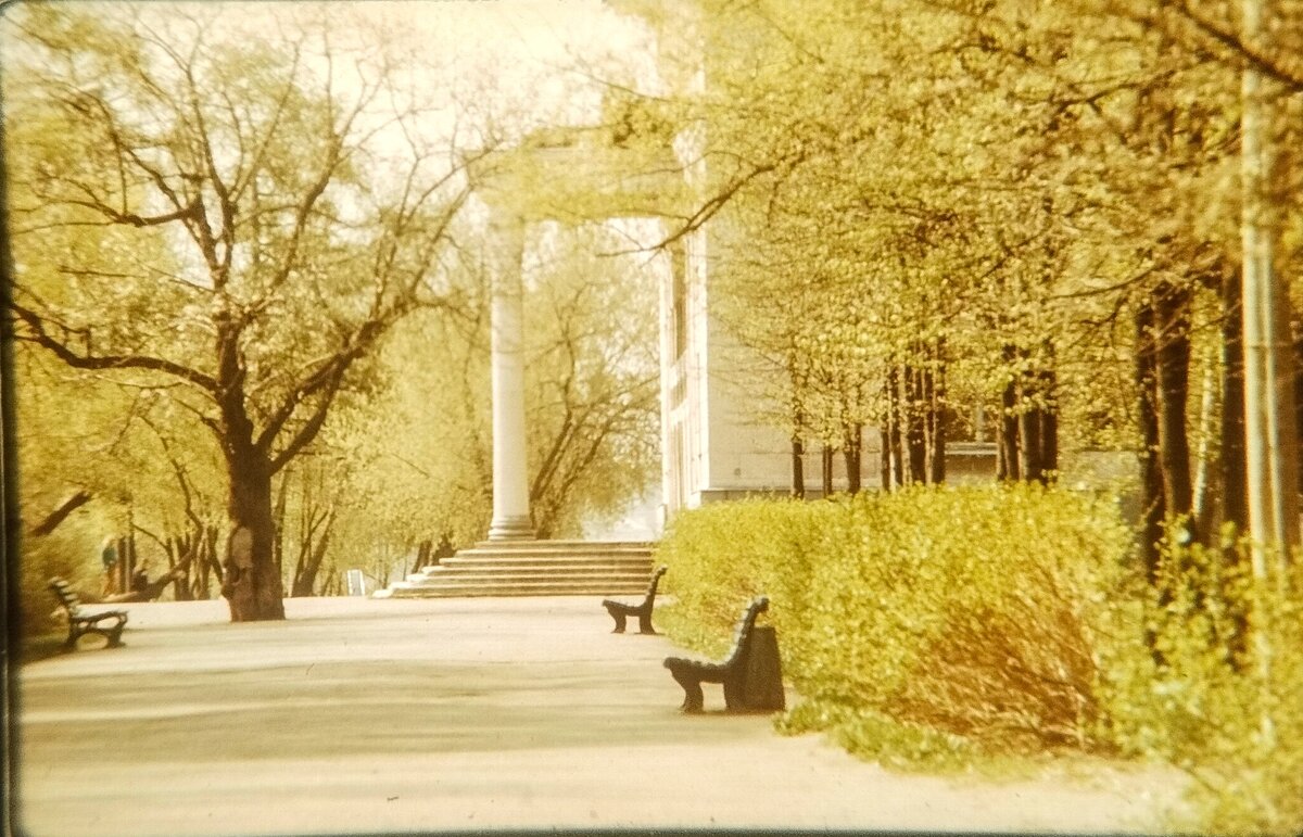 Слайд 1) Весна в парке им. Гагарина. Аллея у филармонии.