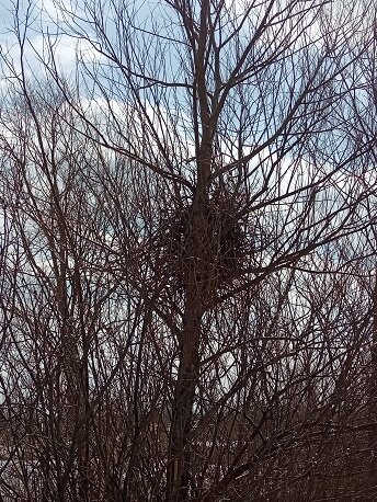 Фотография из личного архива автора