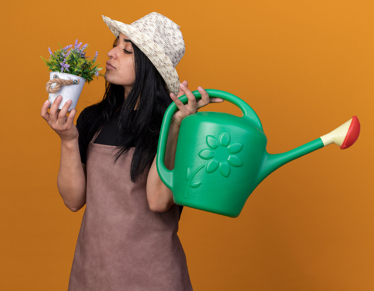 Изображение с сайта https://ru.freepik.com/