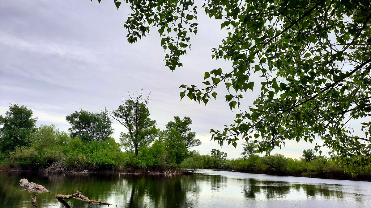 Озеро недалеко от села нашего 
