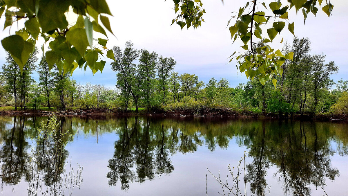 Купаться сюда ездят люди 
