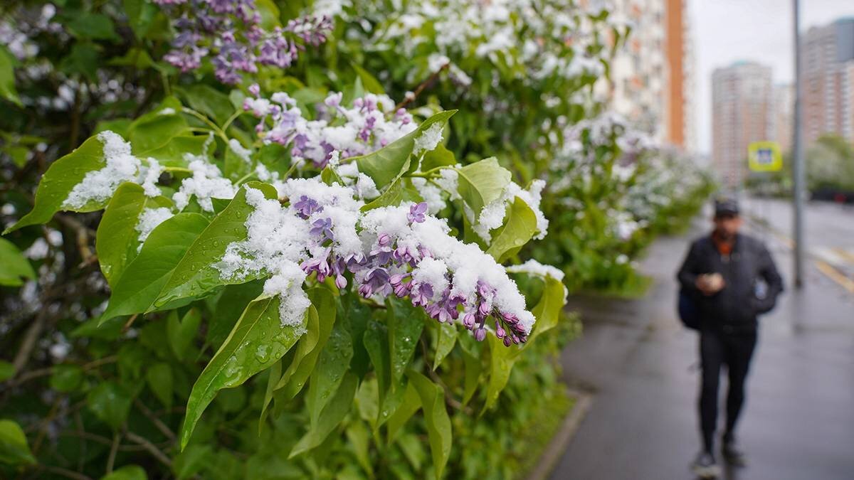    Фото: Александр Авилов / АГН Москва