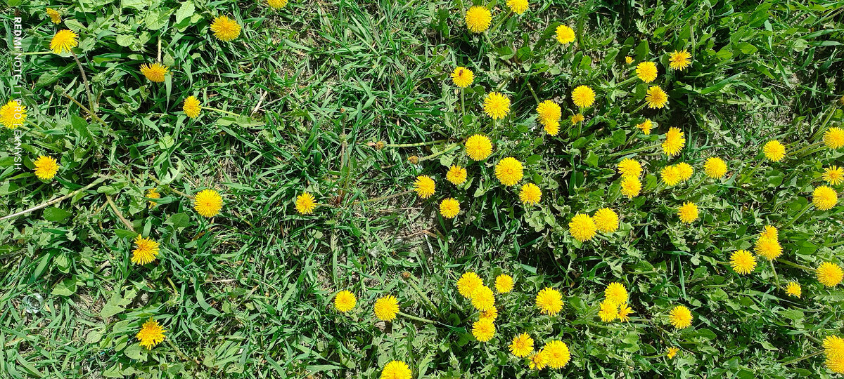 Ну красота же!