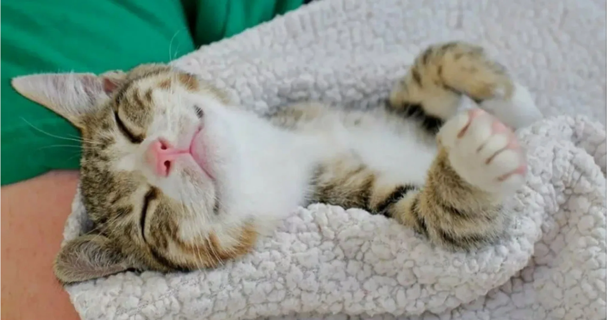 Источник: Картинки Яндекс 