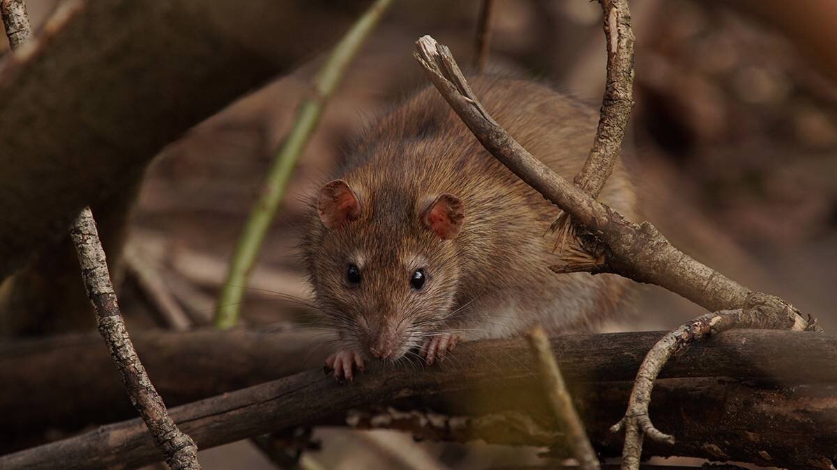    Фото: Анатолий Цымбалюк / Вечерняя Москва