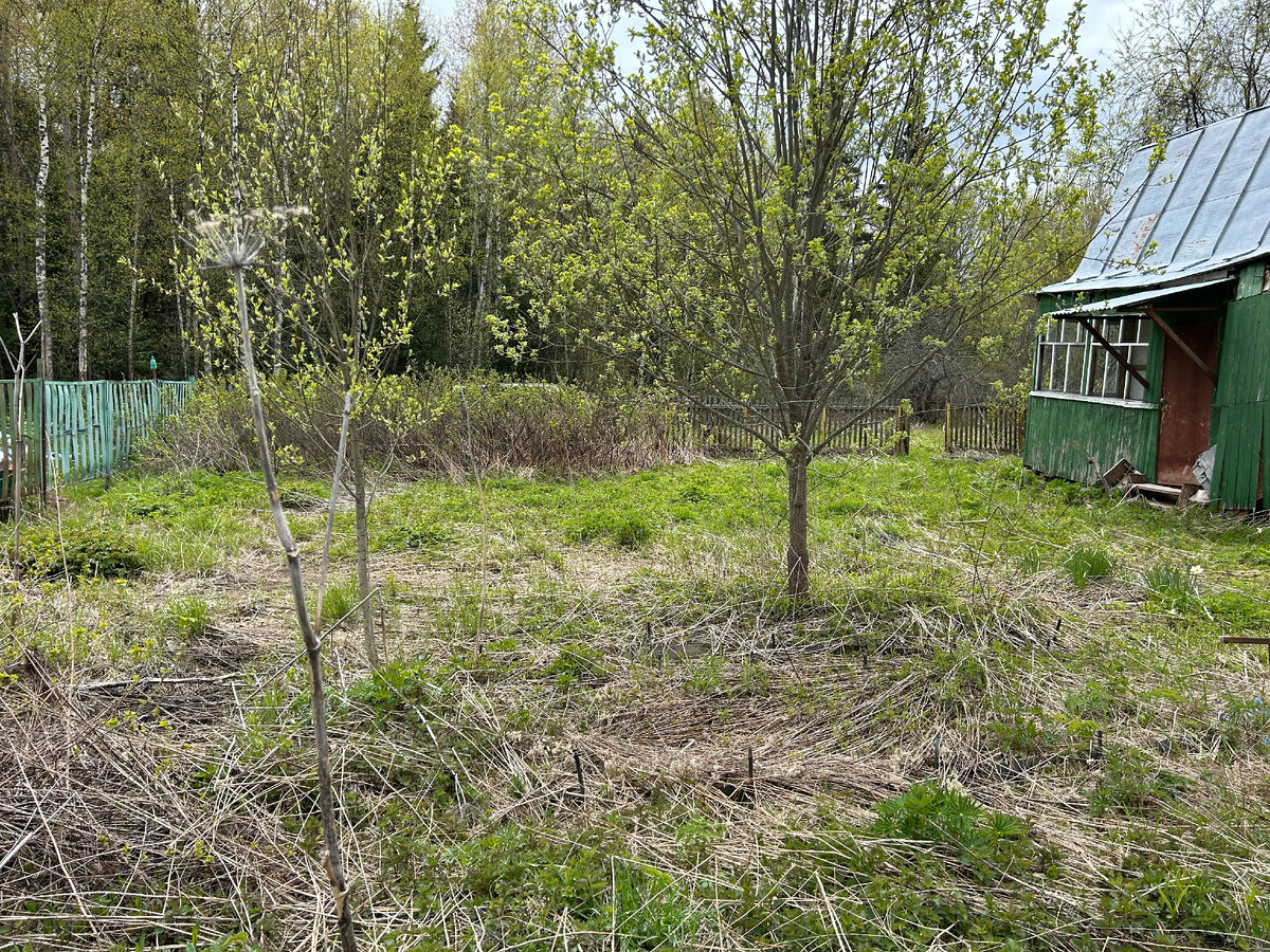 Продается кирпично-деревянная дача на участке 9 соток в СНТ Майский, вблизи  ПГТ Балакирево, Александровский район, Владимирская область | АН 