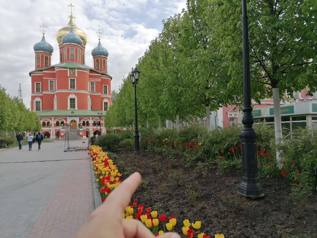 Странный холодный май 2024 - Москва и дача в Подмосковье | Садовые затеи |  Дзен