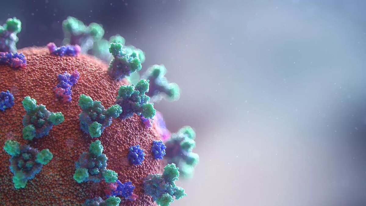 © Unsplash / Fusion Medical Animation