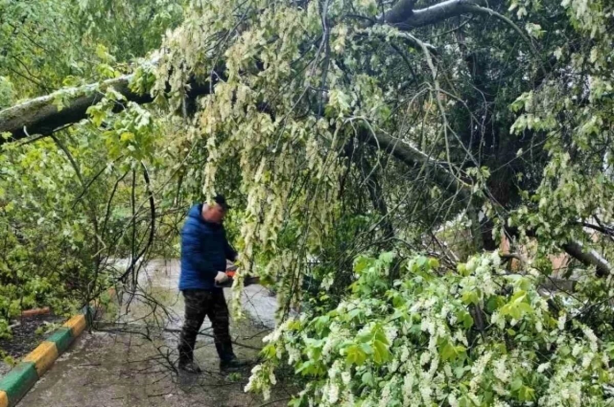    Больше 200 деревьев убрали нижегородские ДУКи после непогоды