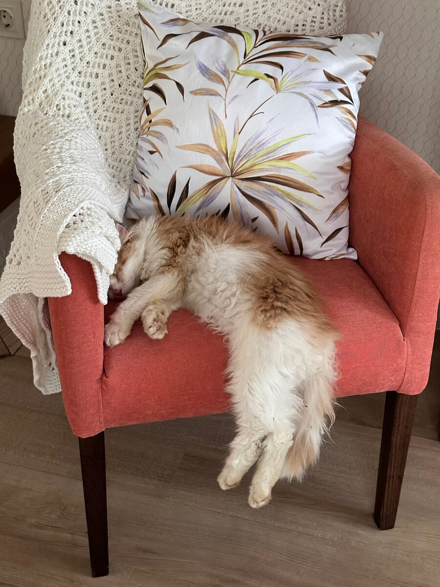 Чувствую себя приблизительно так)